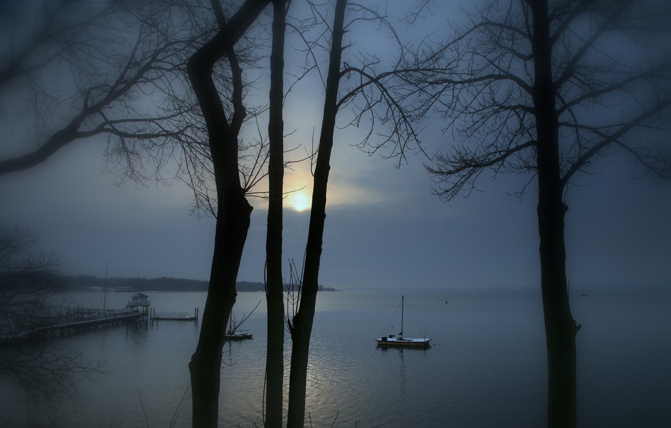 Photo Wallpaper Trees, Landscape, Sunset, Winter, Lake