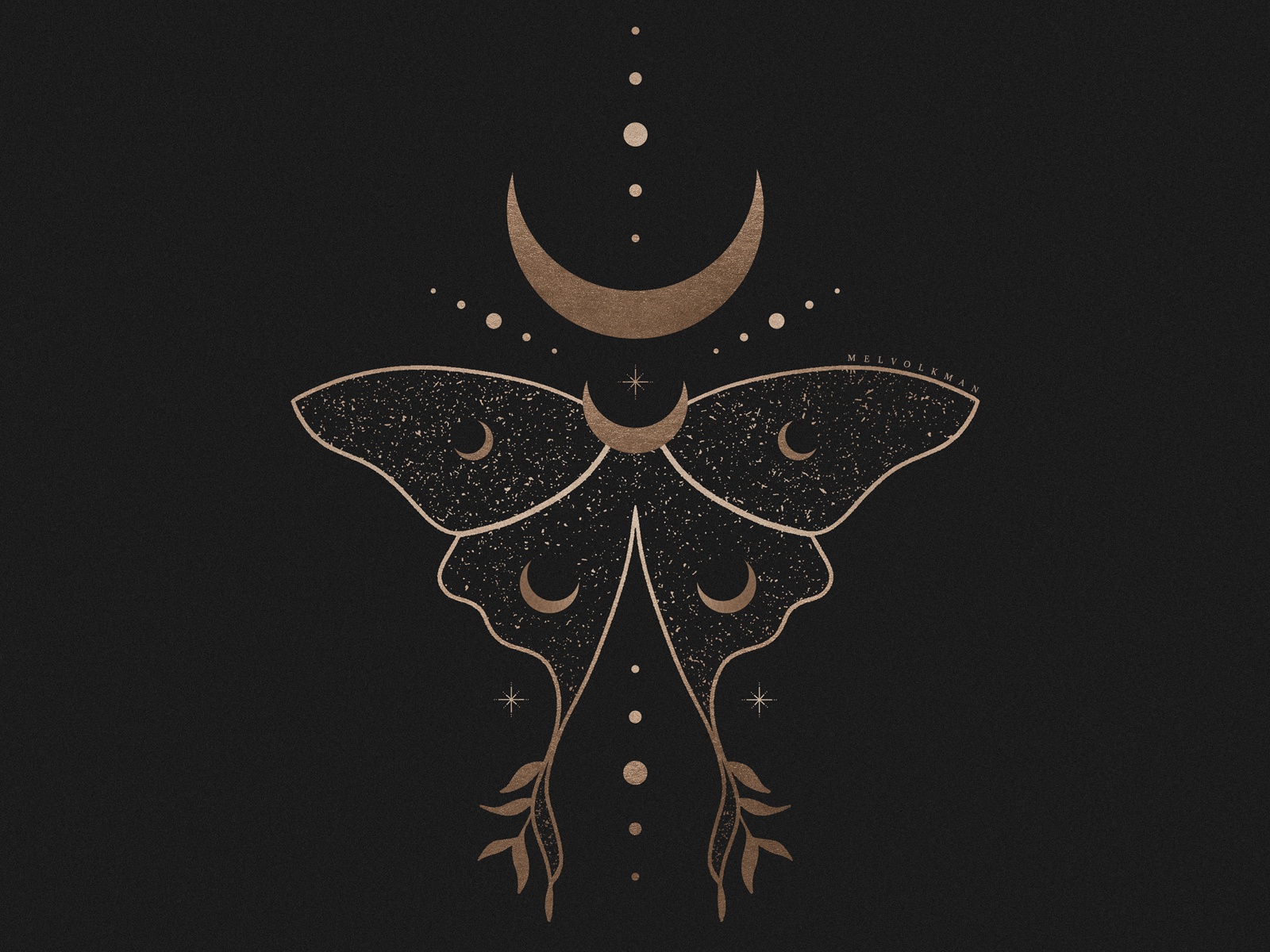 Luna Moth Wallpaper Free Luna Moth Background