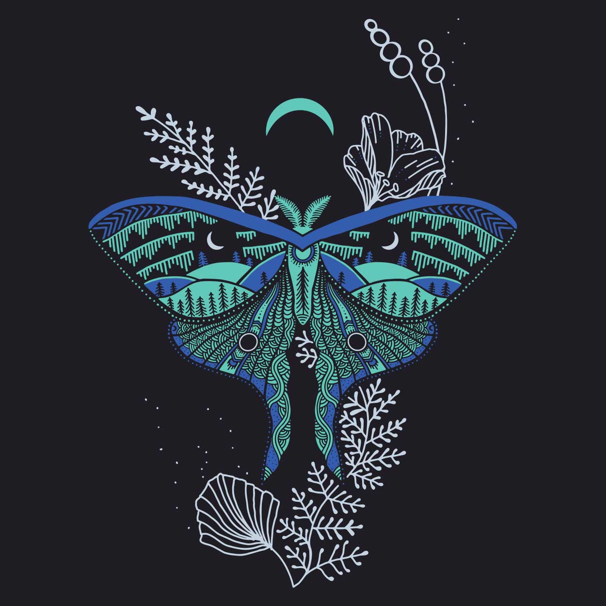 Luna Moth Wallpaper Free Luna Moth Background