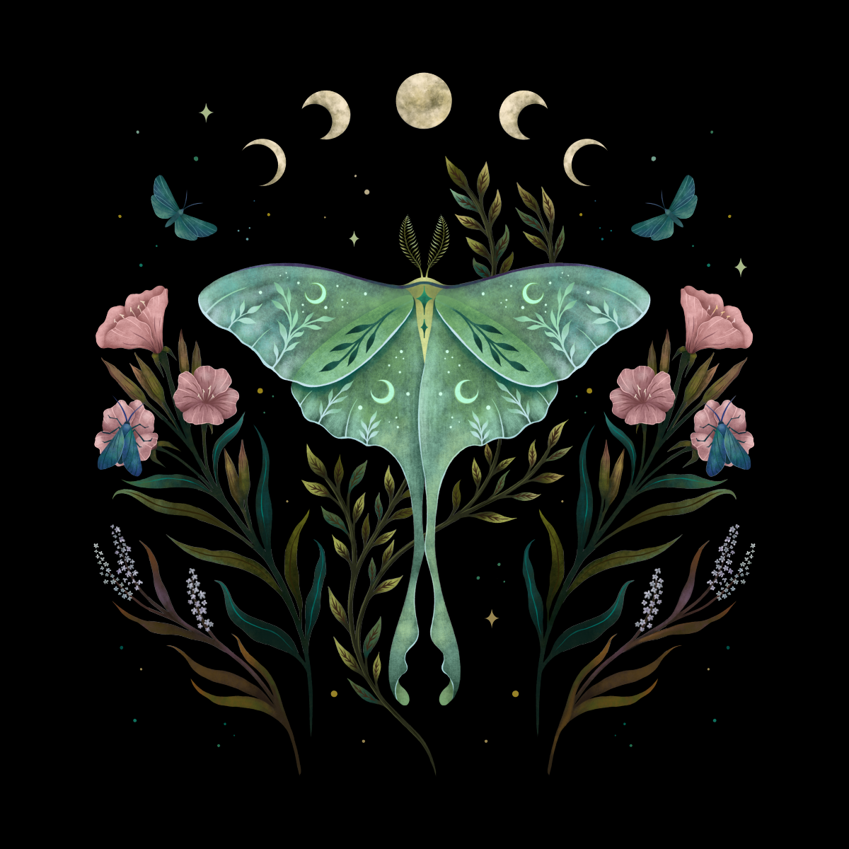 Luna ideas. luna moth, moth art, moth