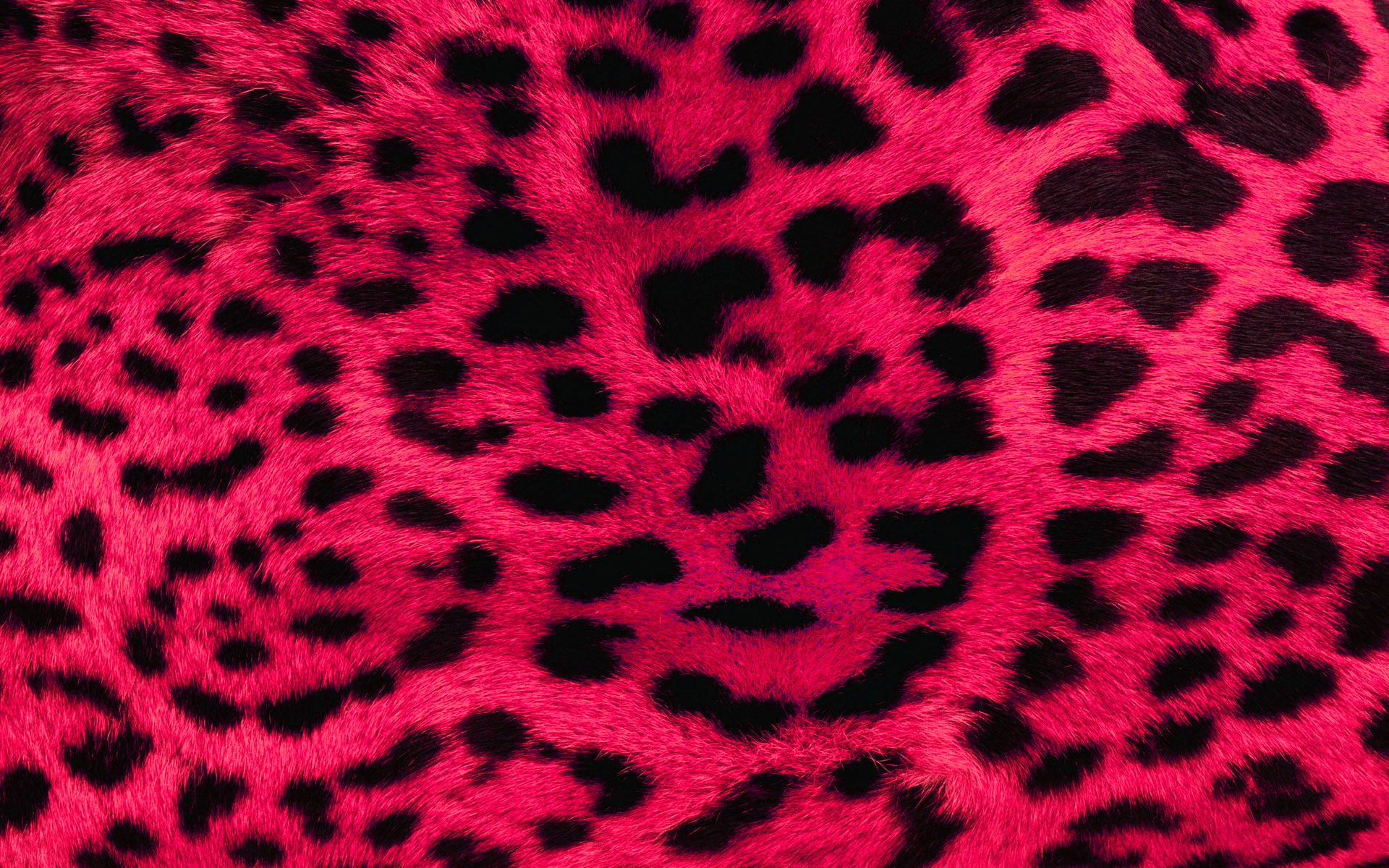 Pink Leopard Print Wallpaper 20506 1920x1200px