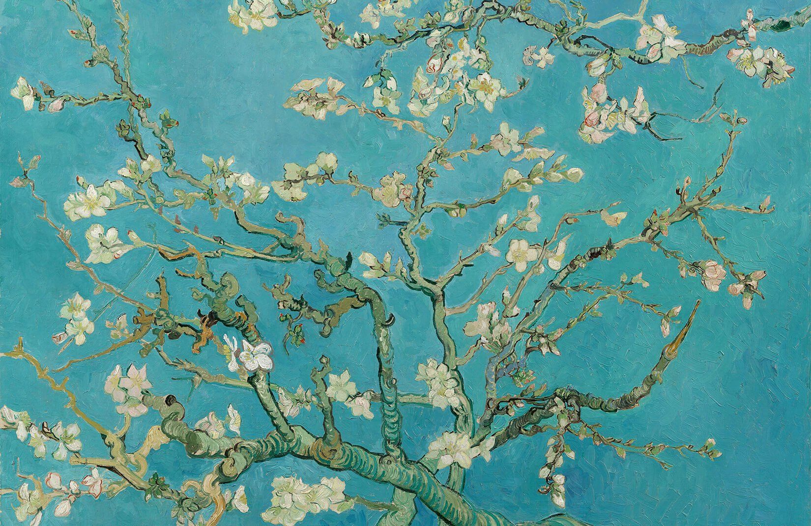 Van Gogh Almond Blossoms Wallpaper Free Van Gogh Almond Blossoms Background