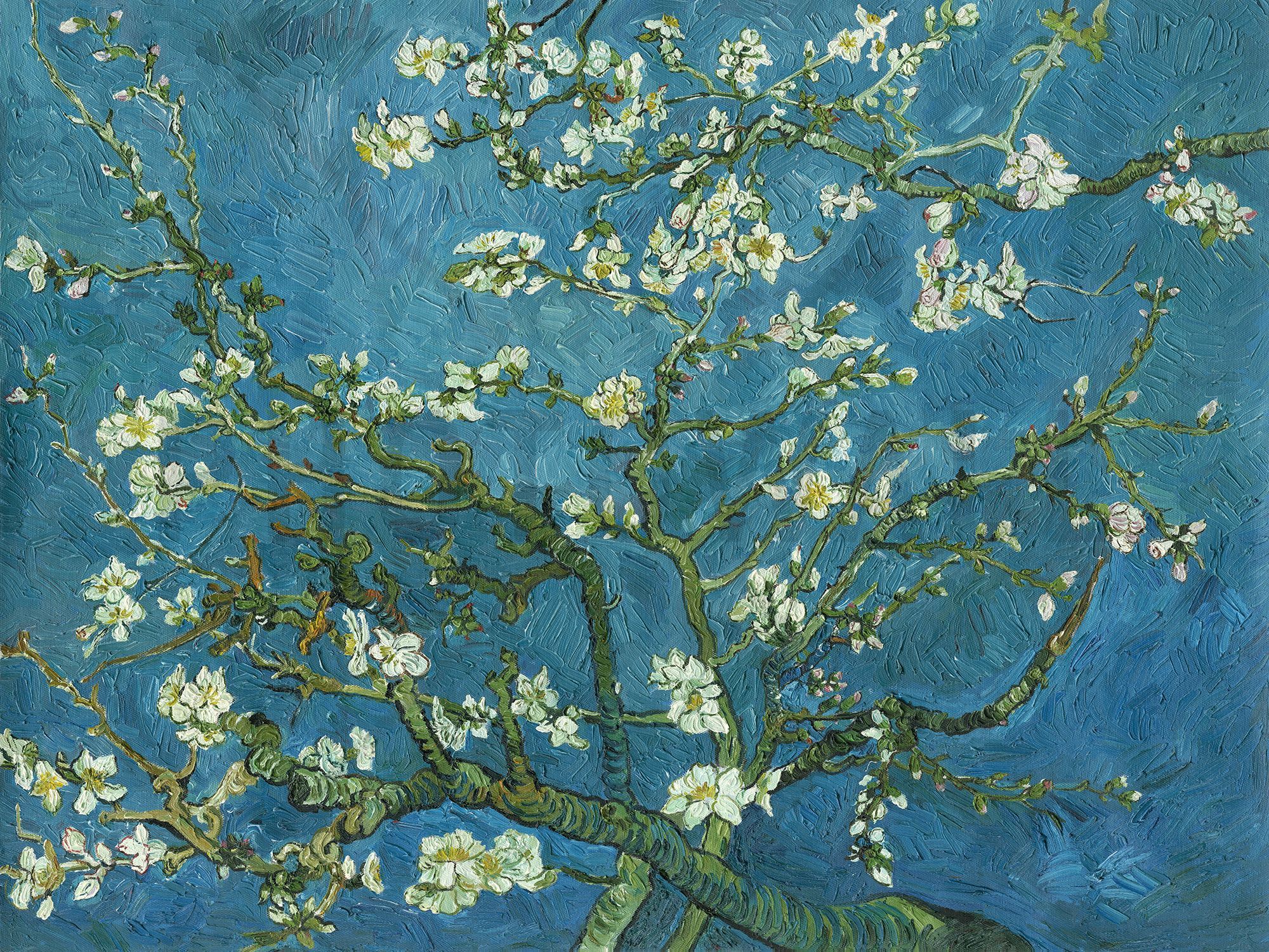Almond Branches Van Gogh Wallpaper Free Almond Branches Van Gogh Background
