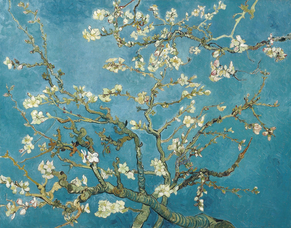 Almond Blossom Van Gogh Image Wallpaper
