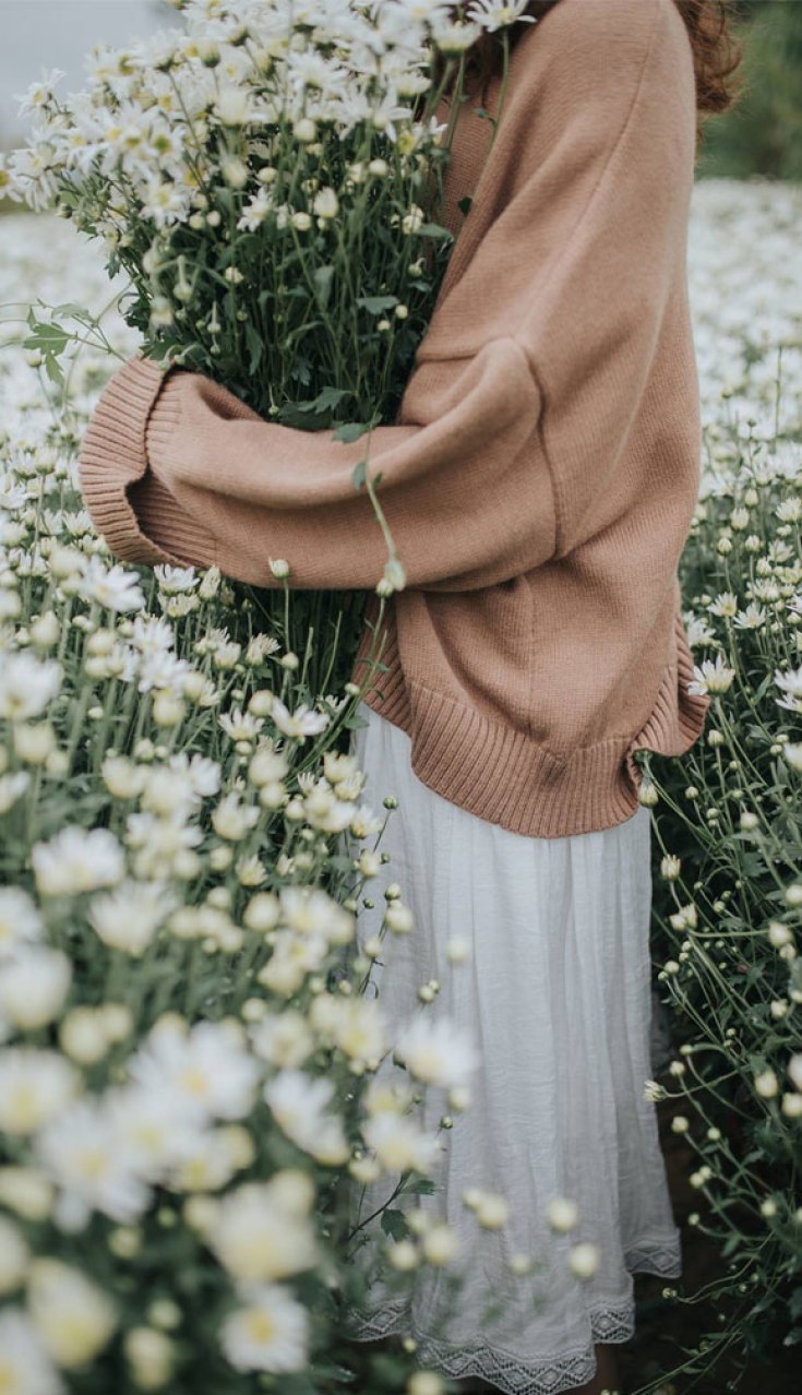 Filed of wild flowers iPhone Wallpaper