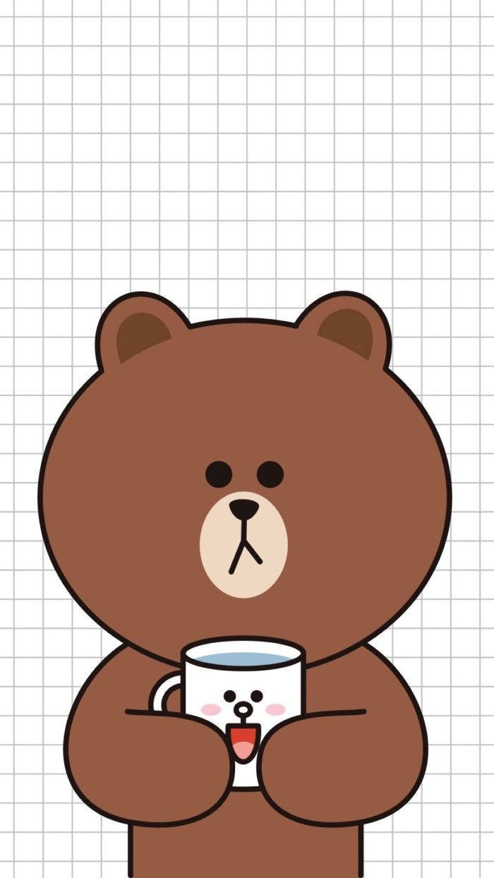 Brown Bear And Cony Bunny Merchandise