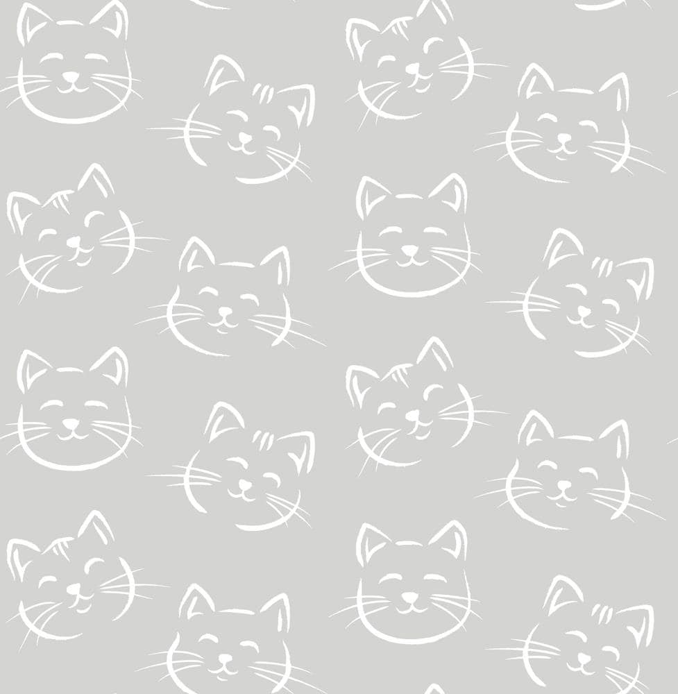 Gray Kittens Wallpapers - Wallpaper Cave