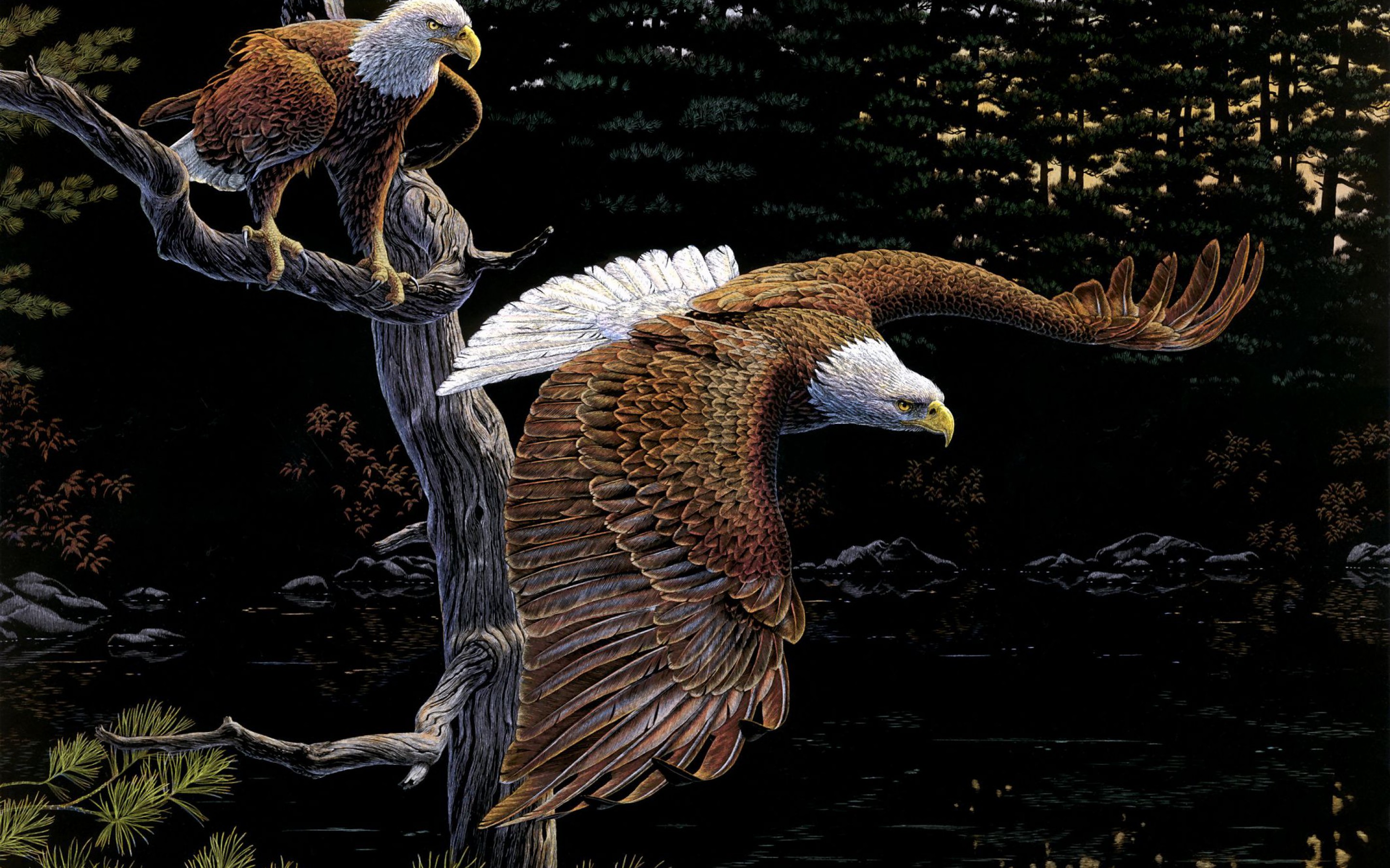 Two Bald Eagles Dry Branch Digital Art Wallpaper HD 2880x1800, Wallpaper13.com