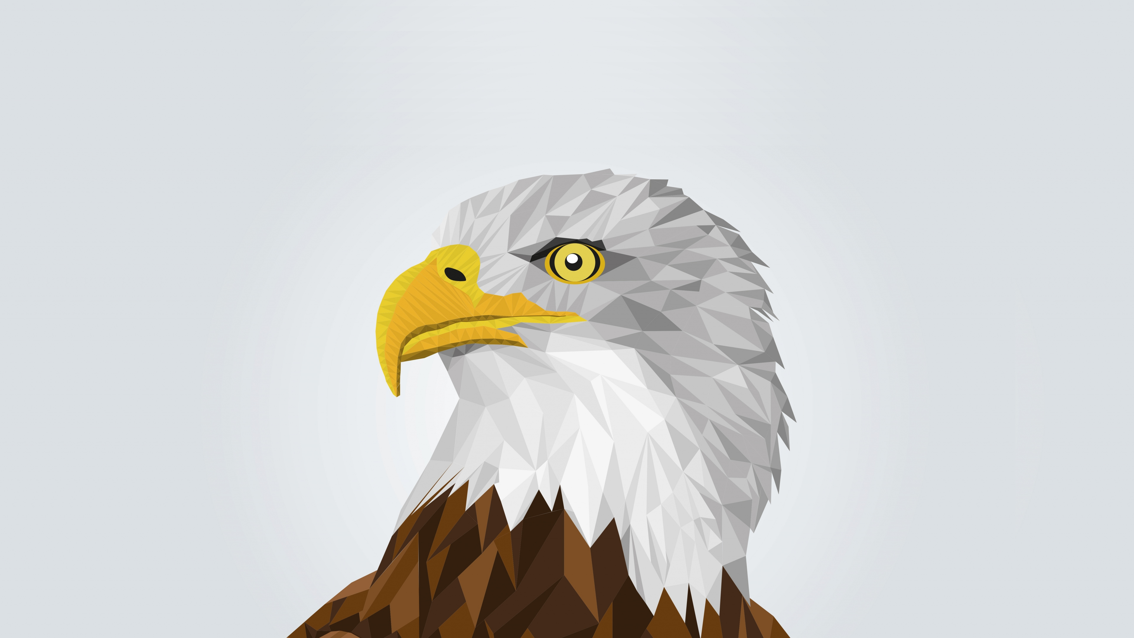 Download Bald eagle, predator, yellow beak, digital art wallpaper, 3840x 4K UHD 16: Widescreen