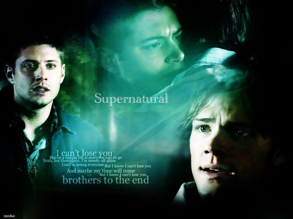brother love Winchester Wallpaper