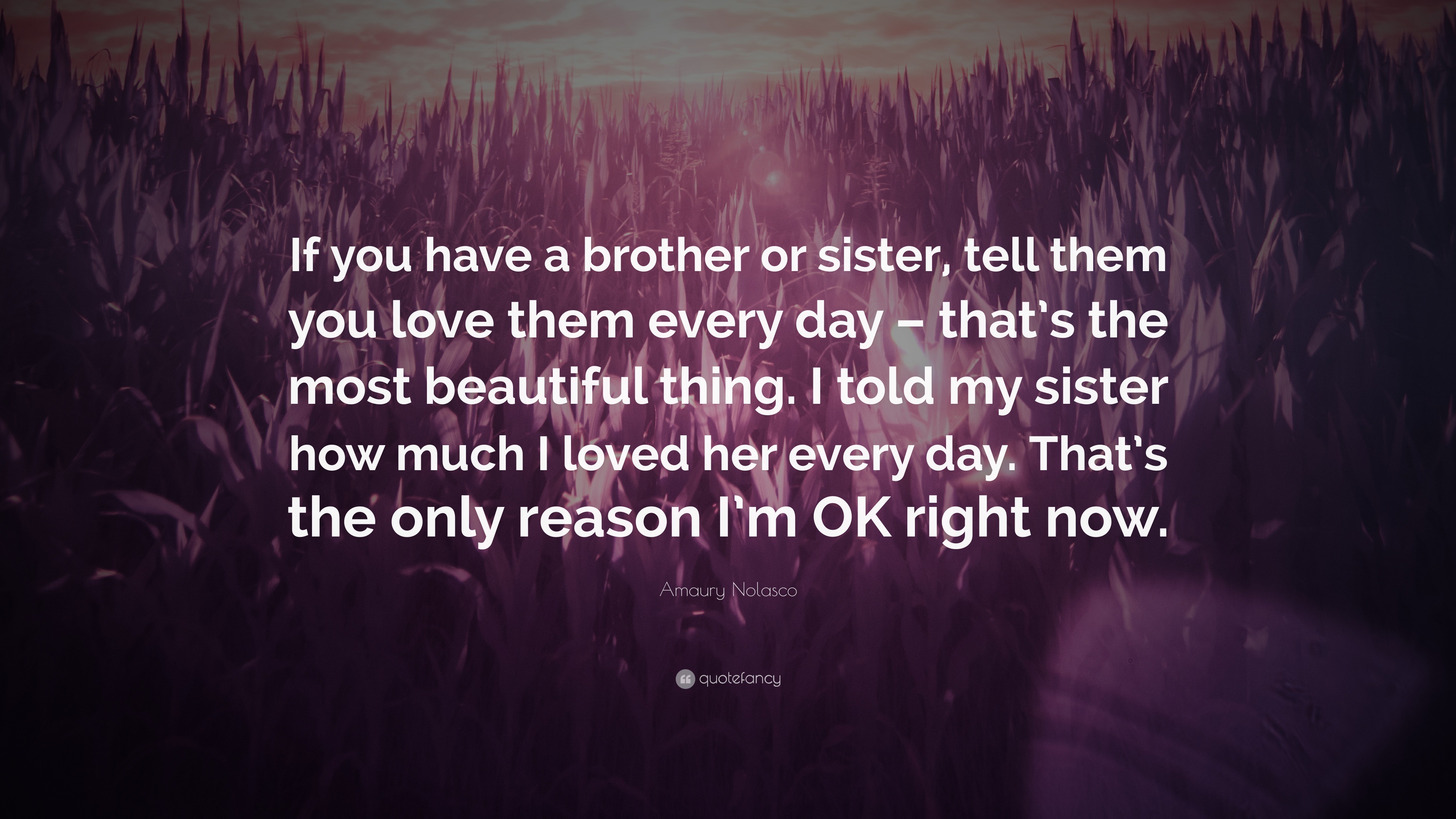 Amaury Nolasco Quote: “If you have a brother or sister, tell them you love them every day