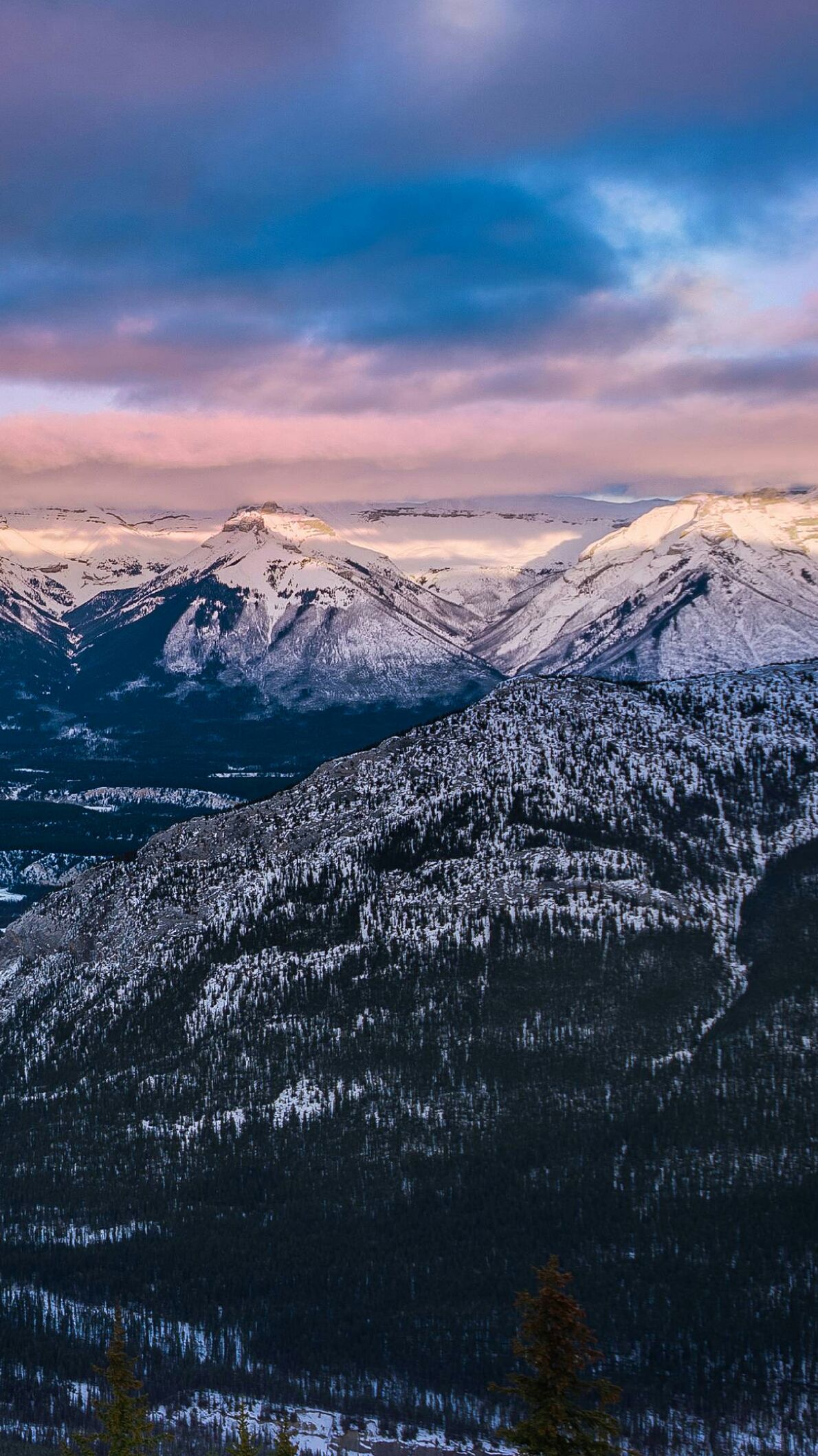 Best Brilliant Website To Download iPhone Wallpaper For Free. Black HD wallpaper iphone, Beach wallpaper iphone, Anime wallpaper iphone