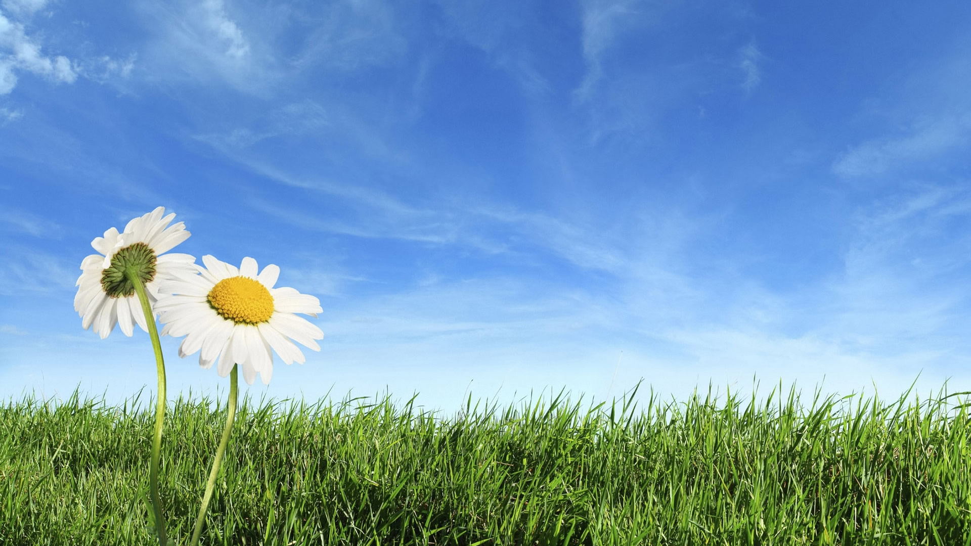 Nature Wallpaper High Resolution Spring Blue Sky And