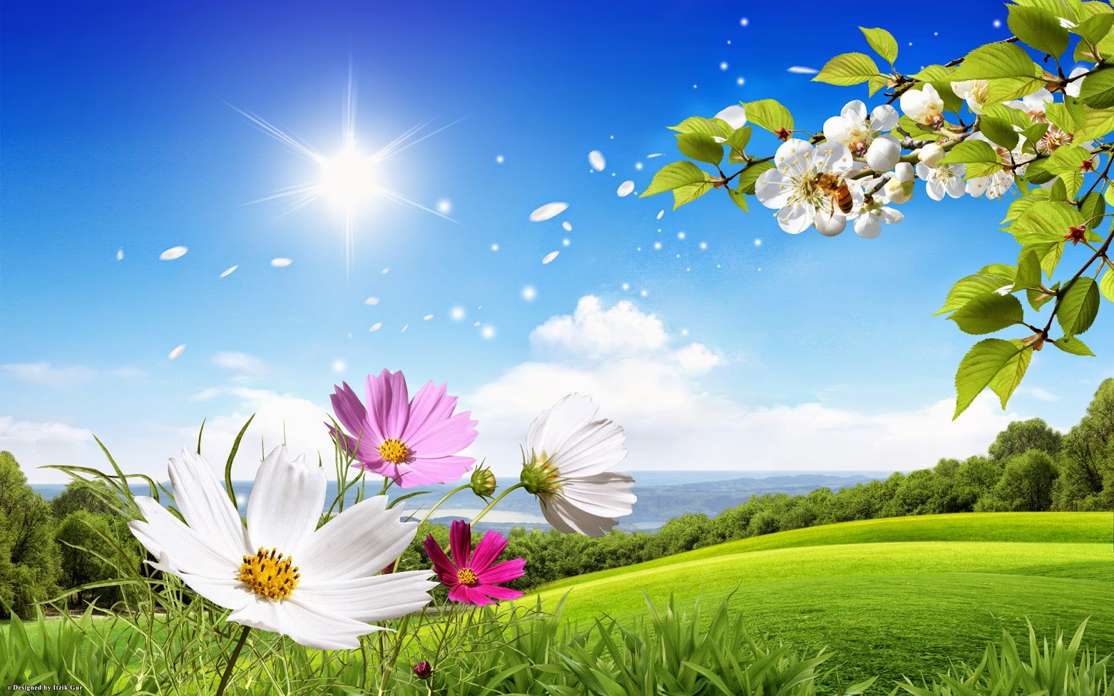 spring season wallpaper, natural landscape, people in nature, nature, sky, flower