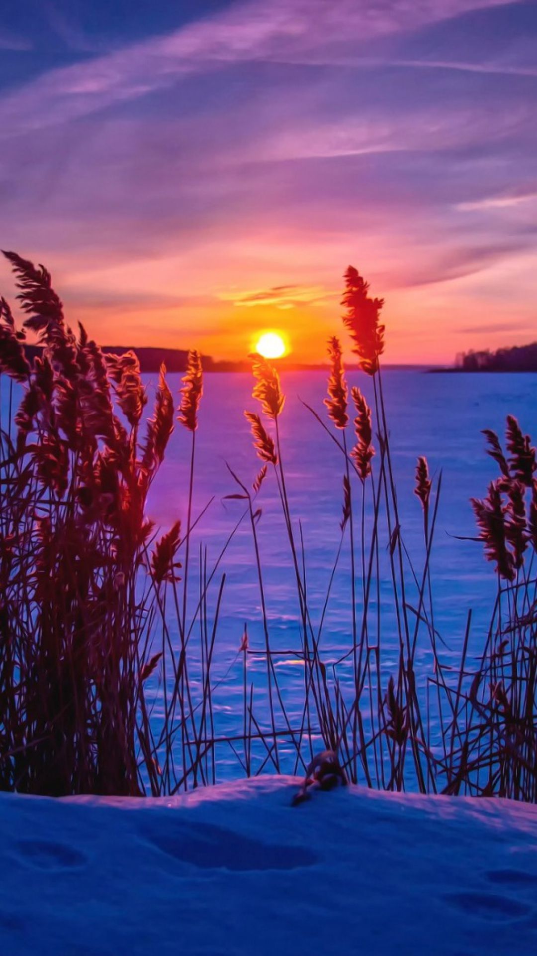 Download Wallpaper 1080x1920 Winter, Sunset, Snow, Grass Sony Xperia Z1, ZL, Z, Samsung Ga. Sunset photography nature, Beautiful photography nature, Sunset nature