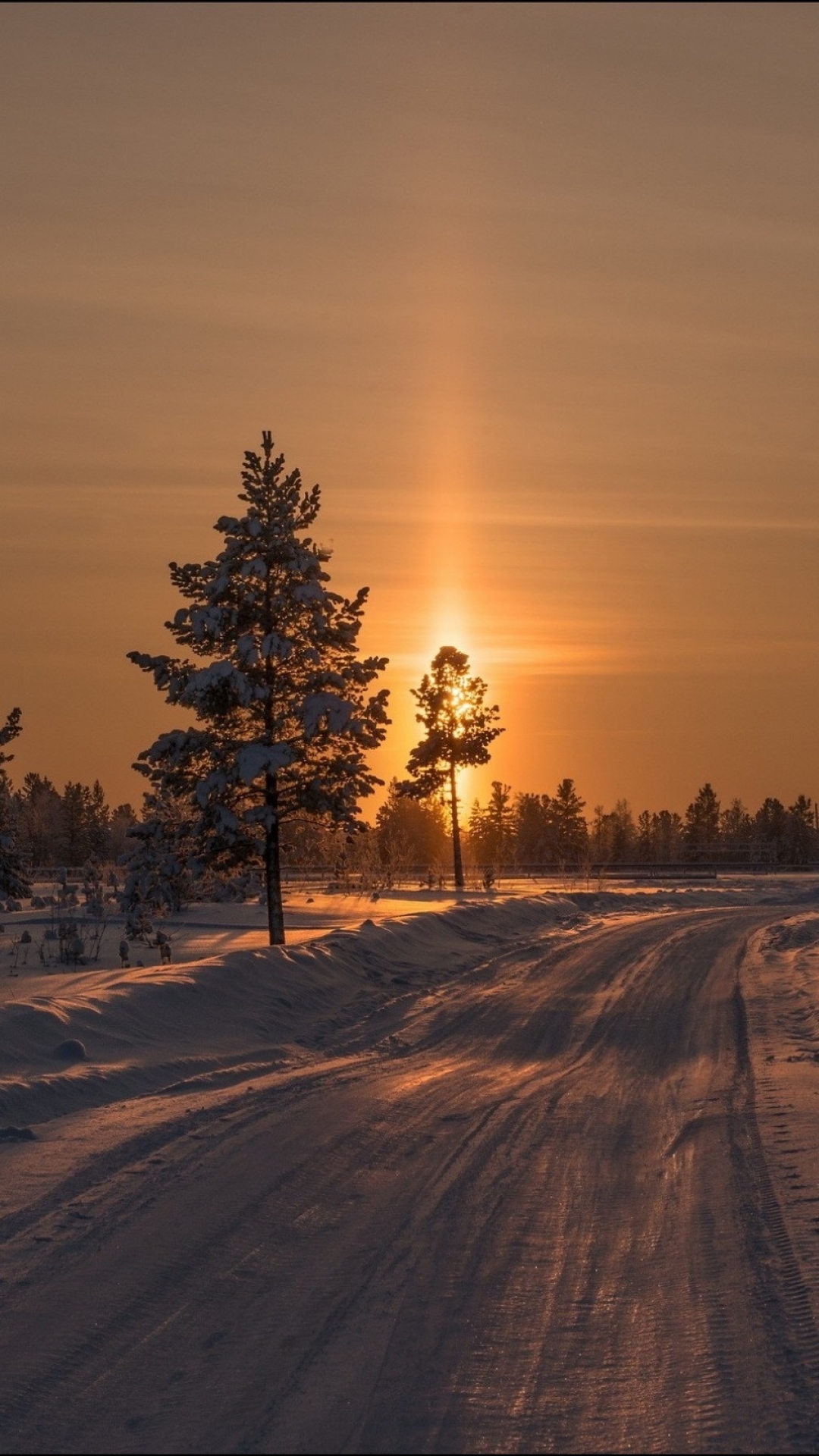 Earth Sunset