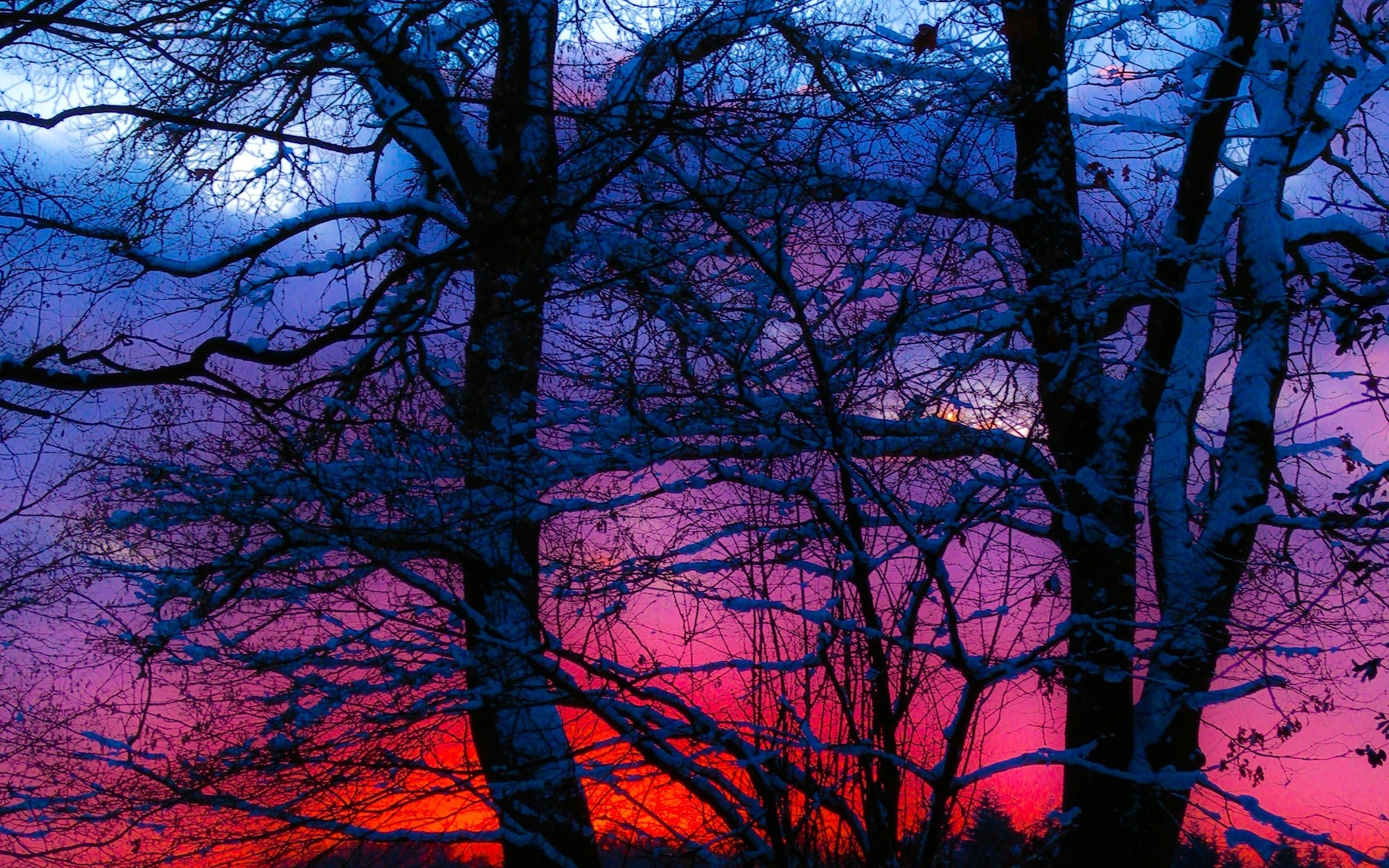 winter, Sunset, Trees, Snow, Landscape Wallpaper HD / Desktop and Mobile Background