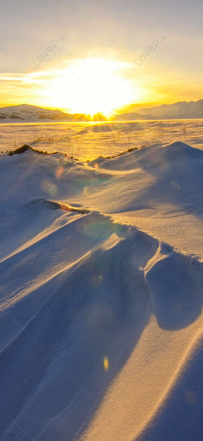 Winter Sunset Snow Scene Mobile Wallpaper Background Image Free Download
