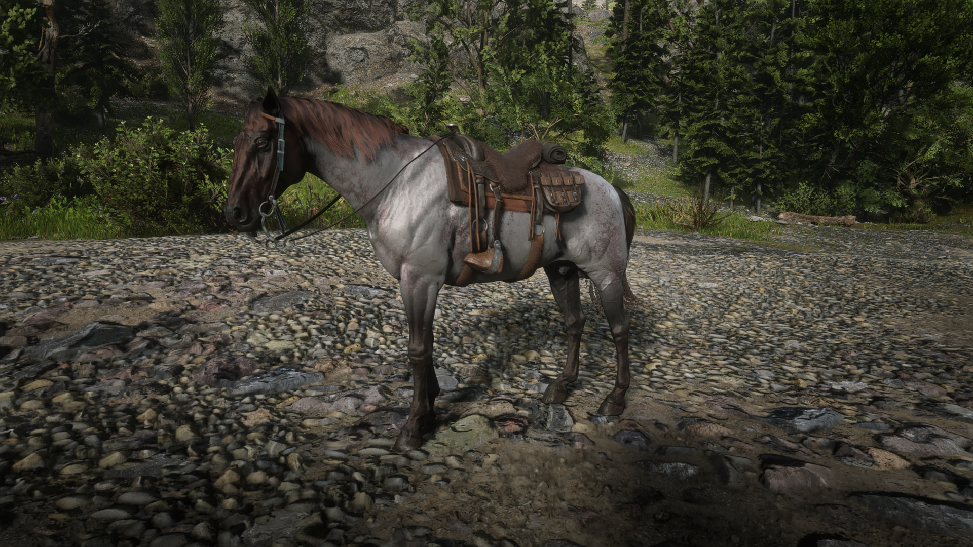 My Favorite Horse Saddle Combination Yet