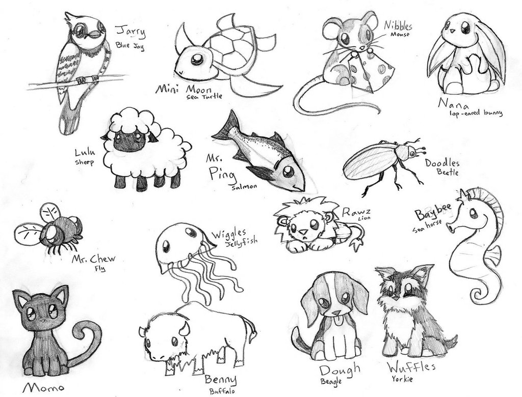 Small animal drawings by Rikkimaru129 on DeviantArt