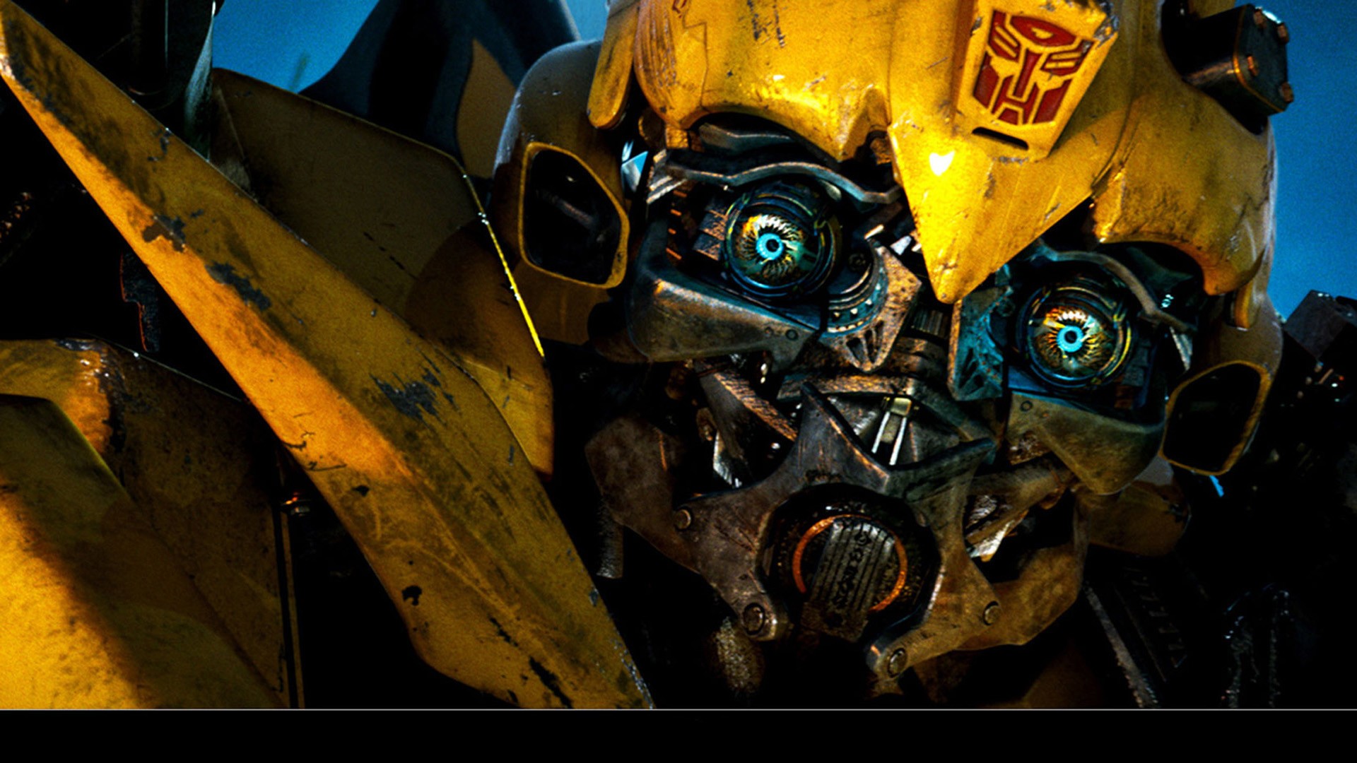 Bumblebee other, sizes, pixels, papers, wallpaper, transformers, movie, collection