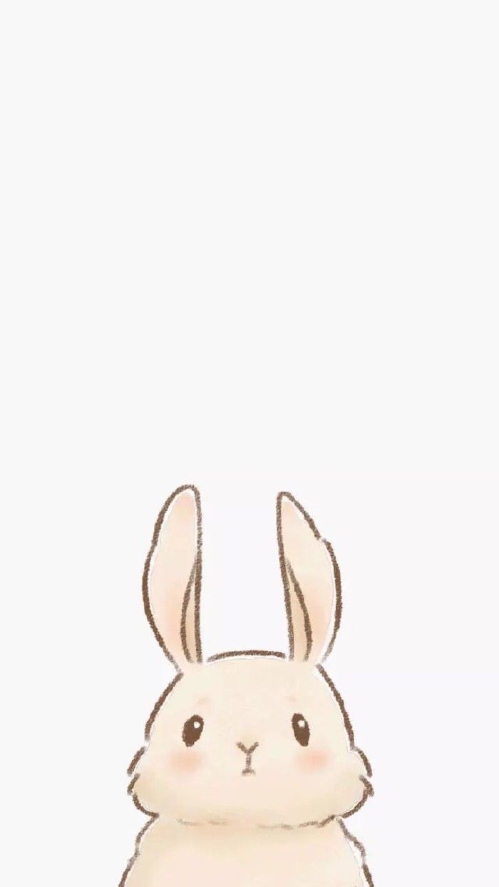 ♡← Ilustraciones →♡. Cute cartoon wallpaper, Cute animal drawings, Bunny wallpaper