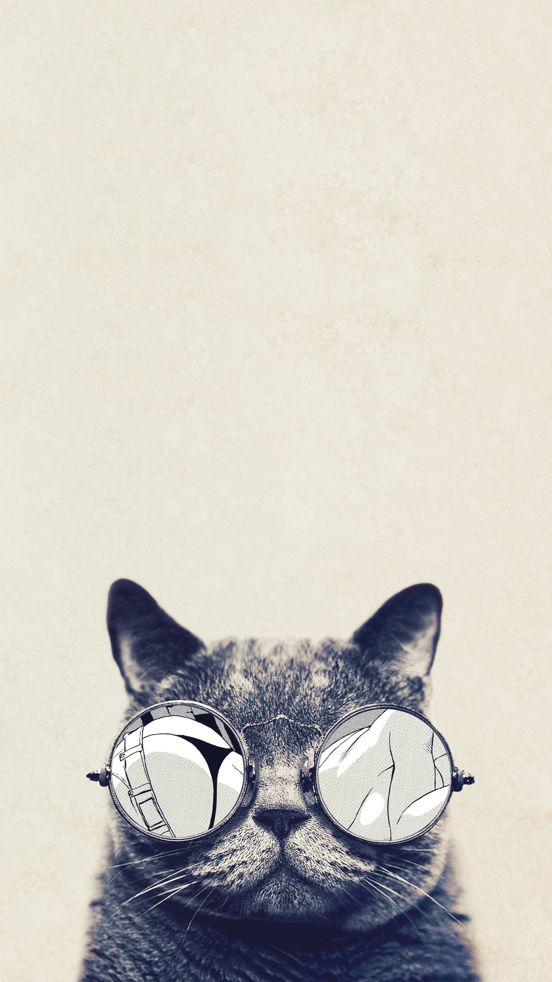 Cat With Glasses Wallpaper