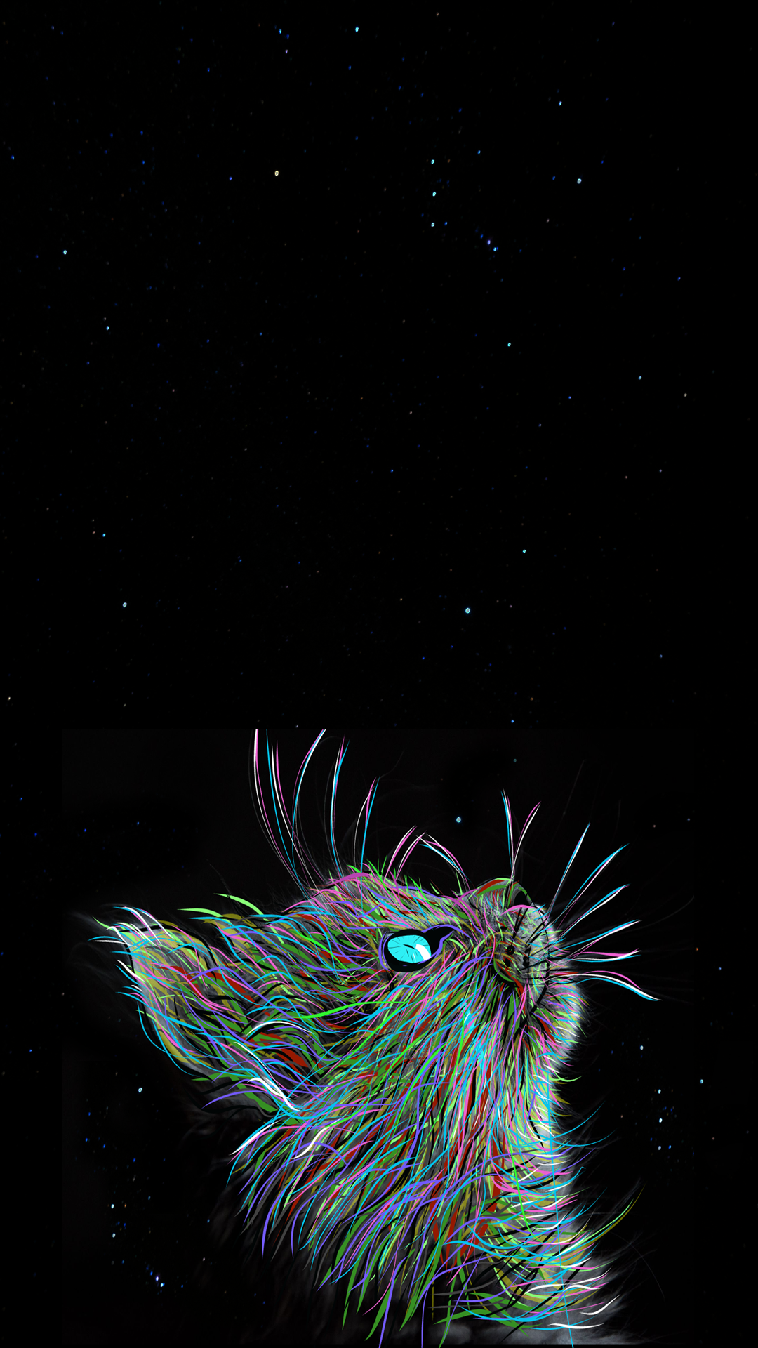 cat phone wallpaper