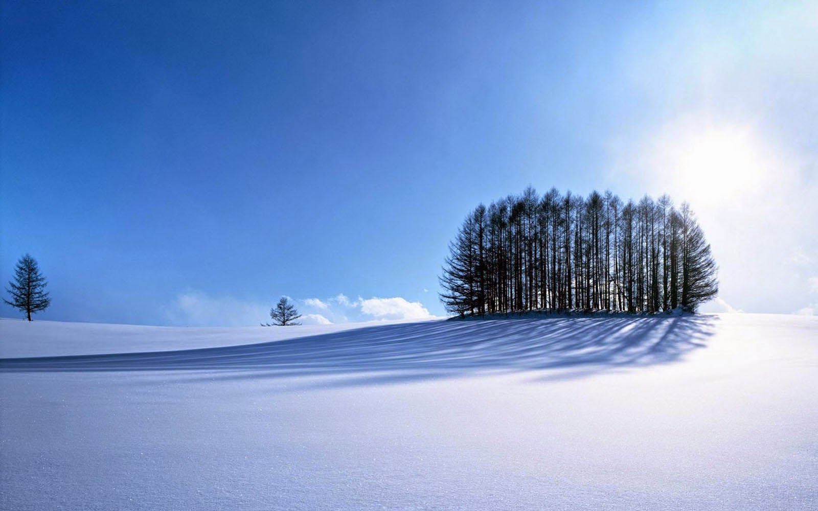 Beautiful Winter Wallpaper HD Wallpaper