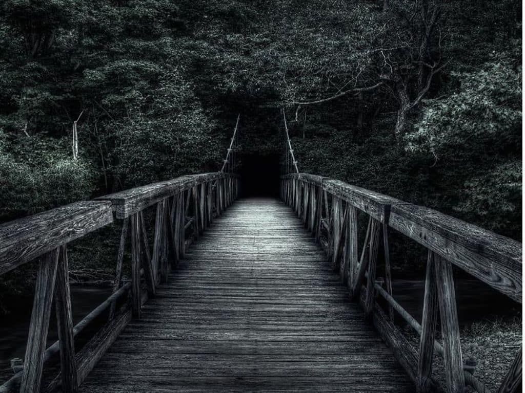 This Path. Dark wallpaper, Scary places, Dark desktop background