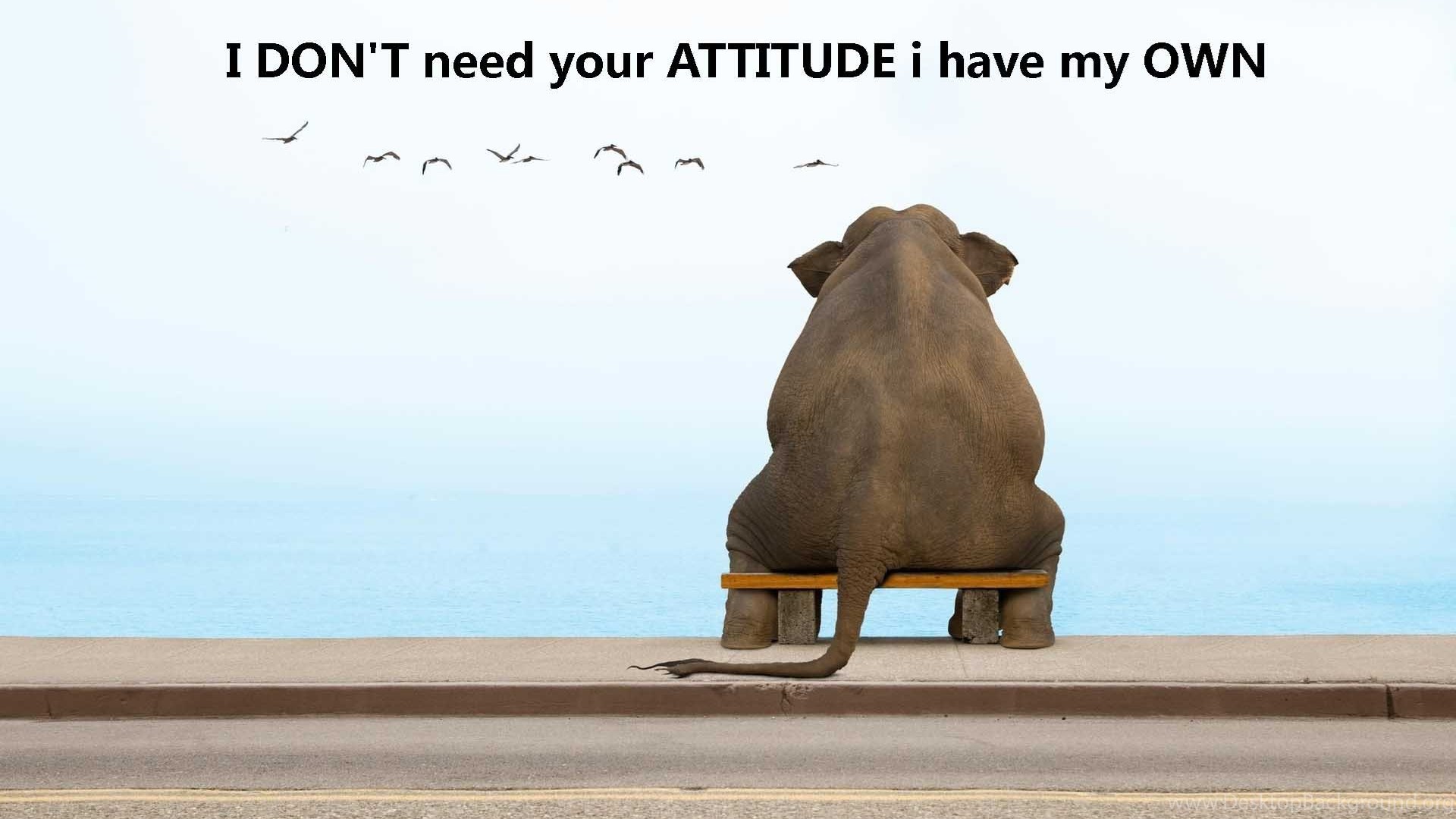 Download Cool Attitude Quotes Wallpaper Desktop Background