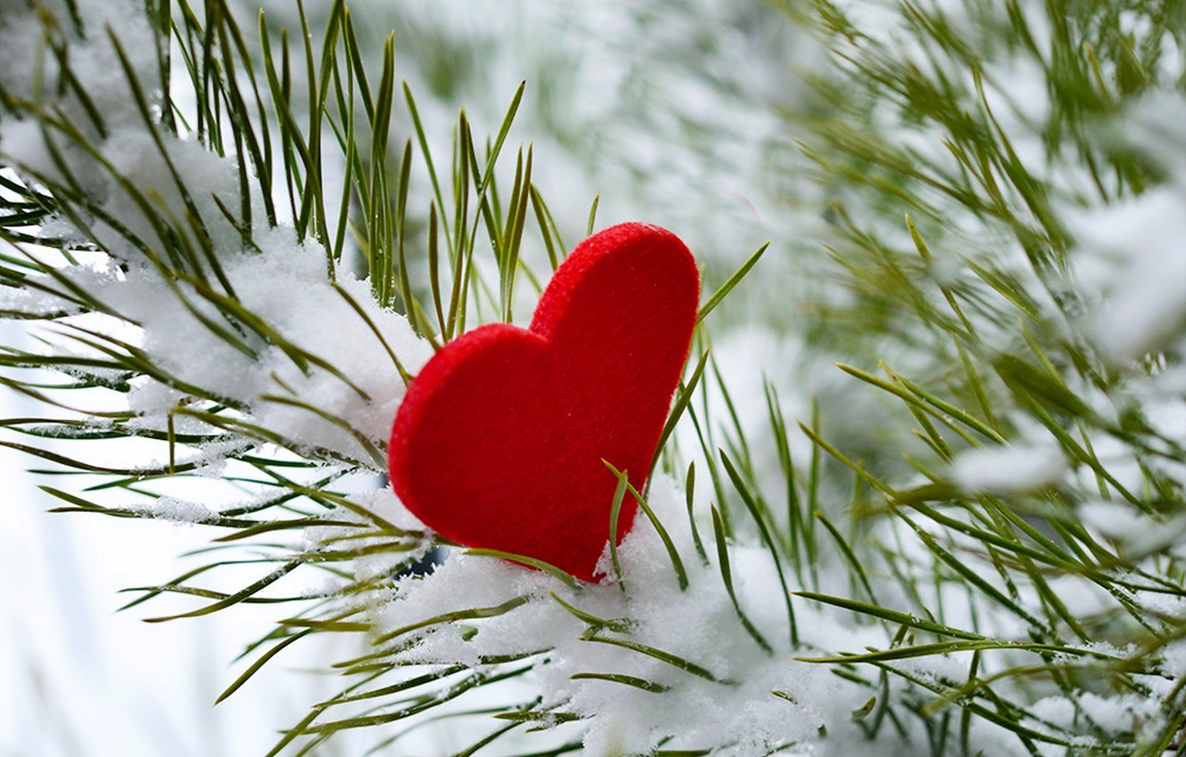 Wallpaper winter, snow, love, tree, heart, love, i love you, heart, winter, snow image for desktop, section разное