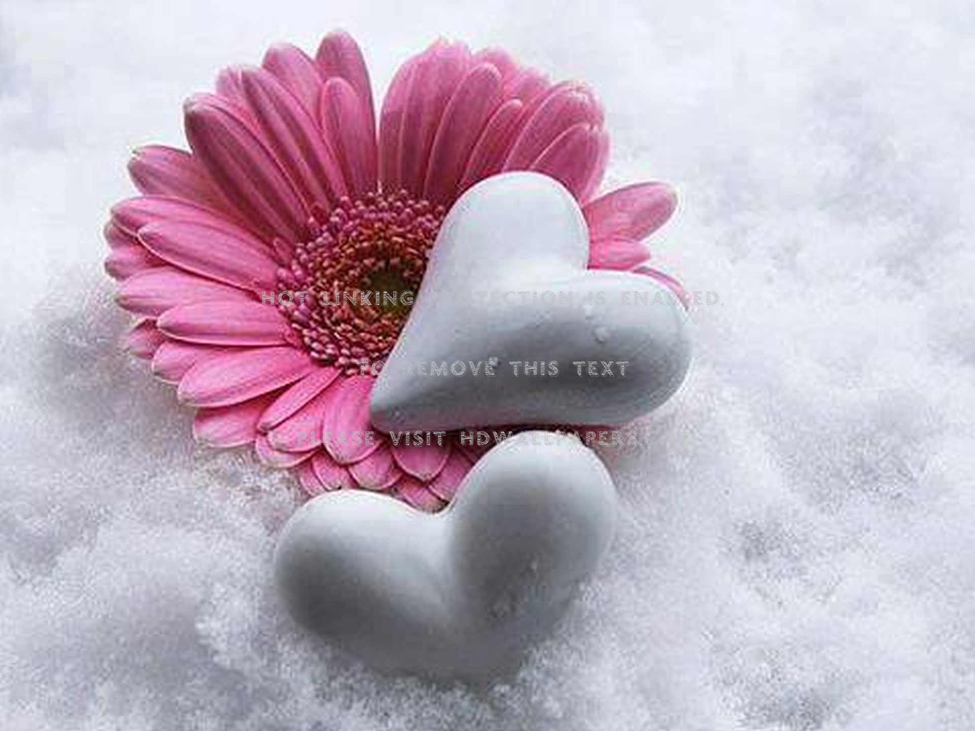 snow flower heart good winter nature