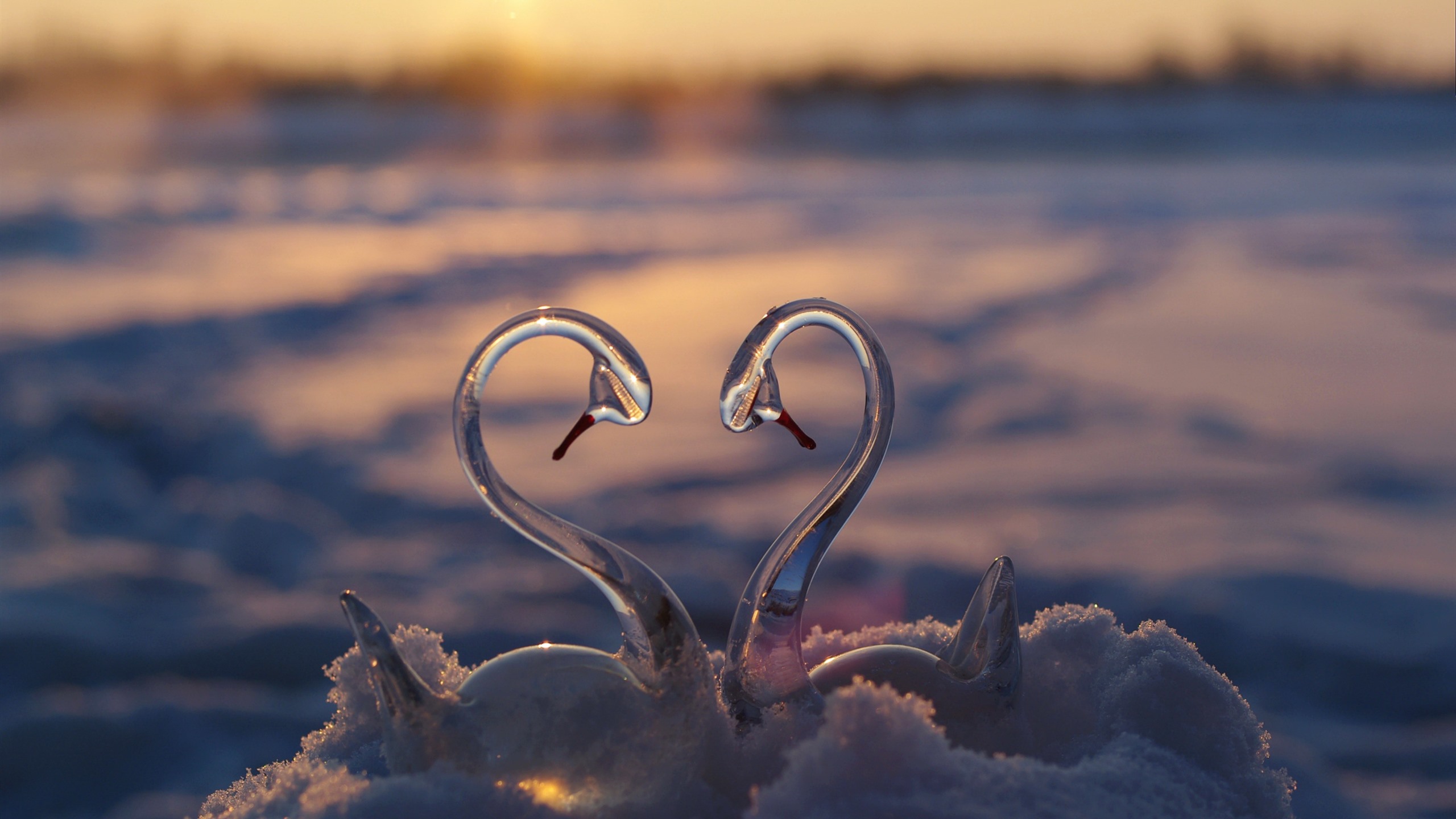Wallpaper Glass swan toy, snow, love heart 2880x1800 HD Picture, Image