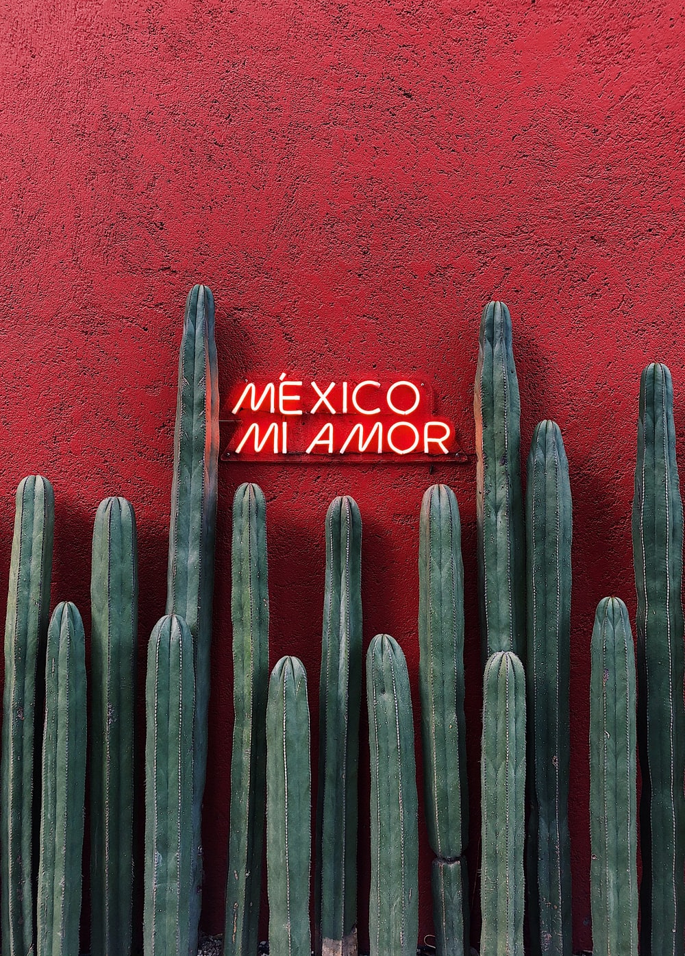 Mexico Mi Amor Picture. Download Free Image
