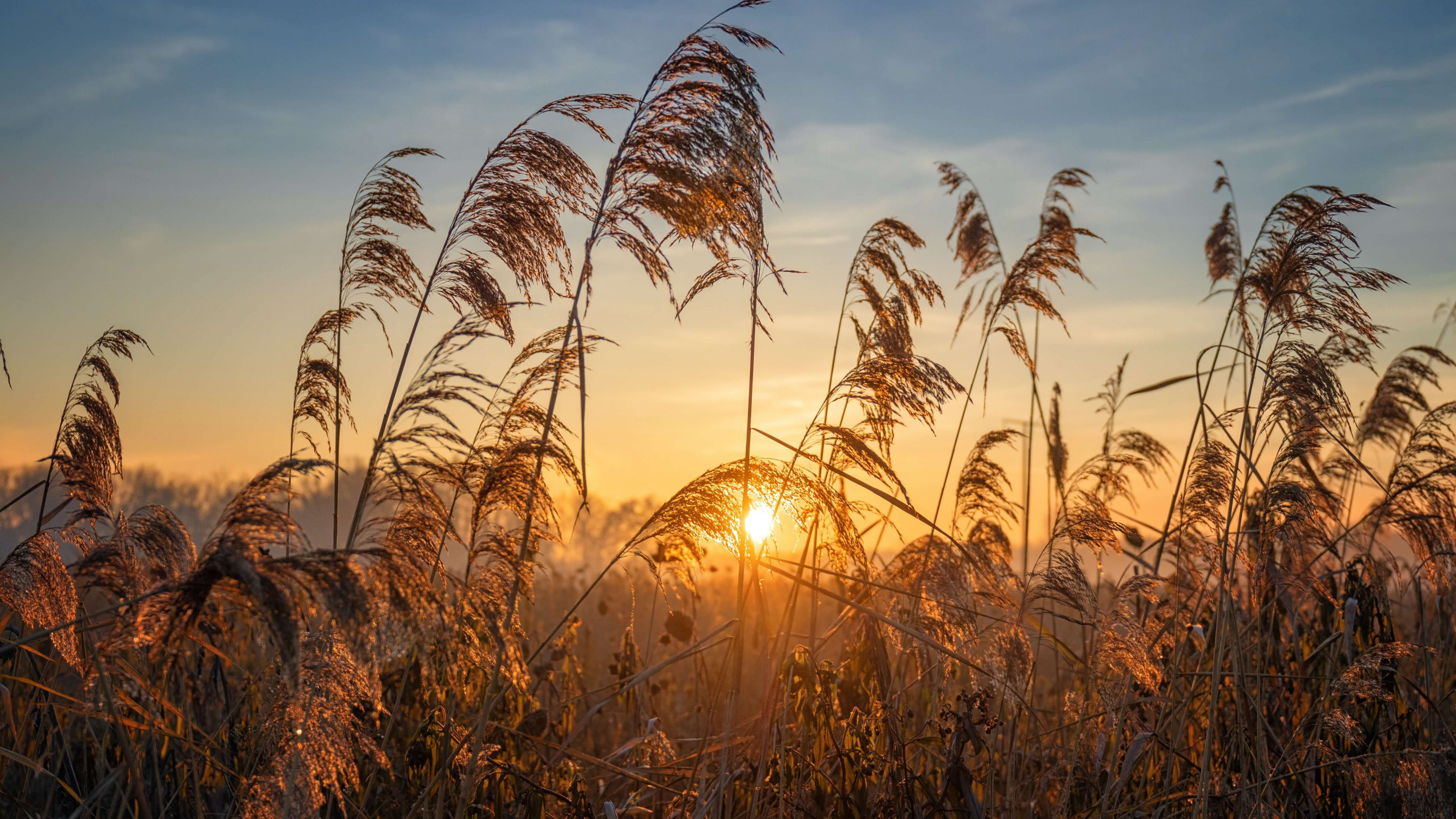 Download wallpaper: Surreal sunset 3840x2160