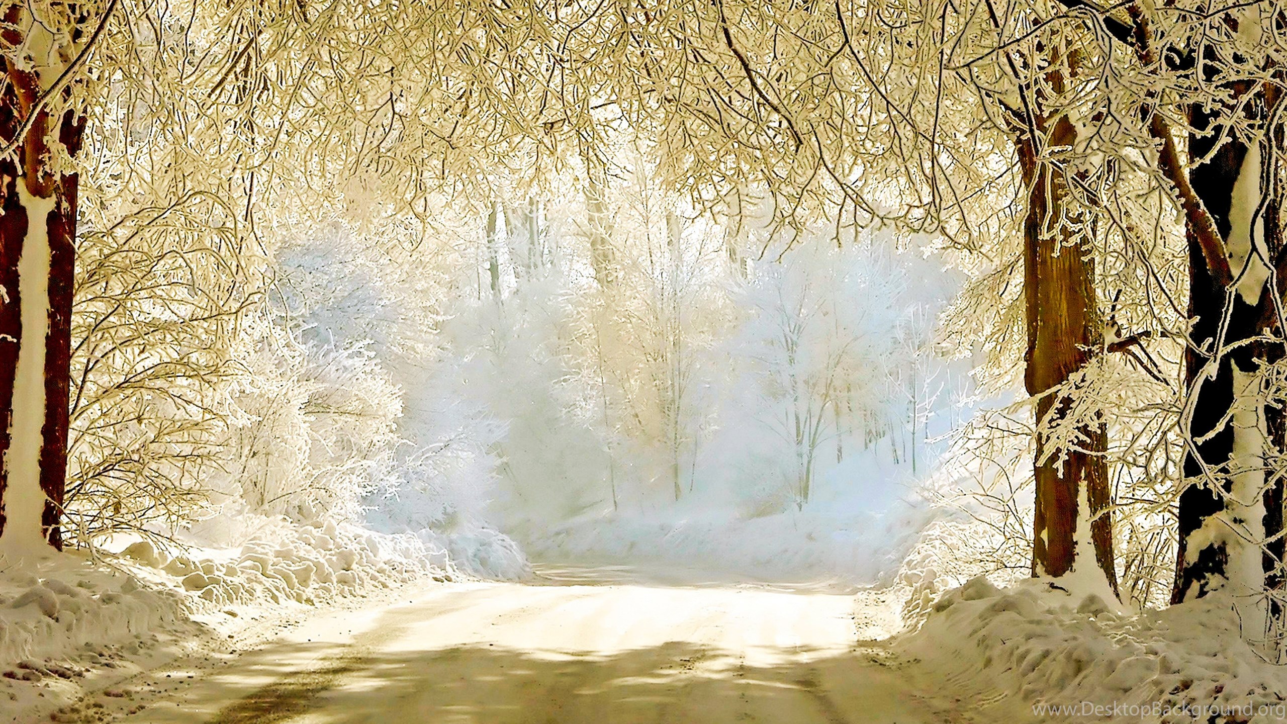 Beautiful Winter Wallpaper, Background, Image Desktop Background