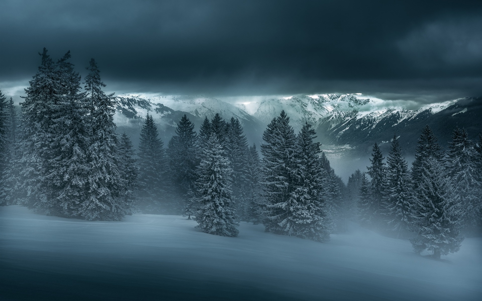 Mountains Forest Winter Night