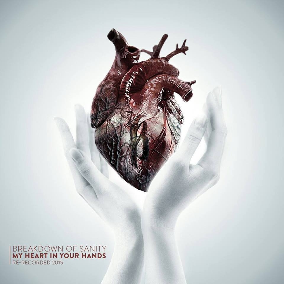 Breakdown Of Sanity Heart In Your Hands Lyrics and Music by Breakdown Of Sanity arranged by trwow on Smule Social Singing app