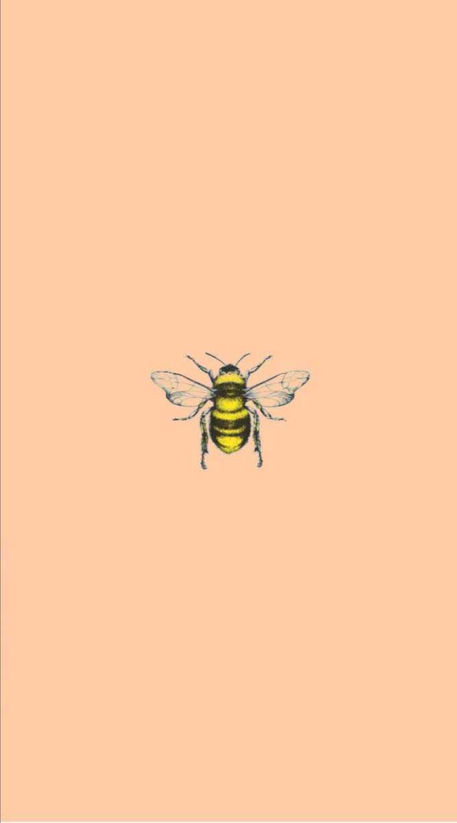 bee iPhone Wallpapers Free Download