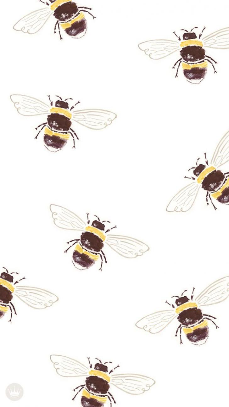 Wallpaper HD: Aesthetic, Bee, Wallpaper, Top, Free, Aesthetic, Bee