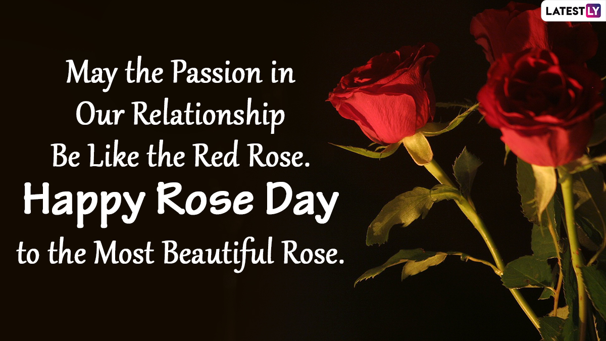 Happy Rose Day 2022 Greetings: Send Romantic Image, Love Shayaris, Wishes, WhatsApp Stickers and HD Wallpaper to Your Soulmate