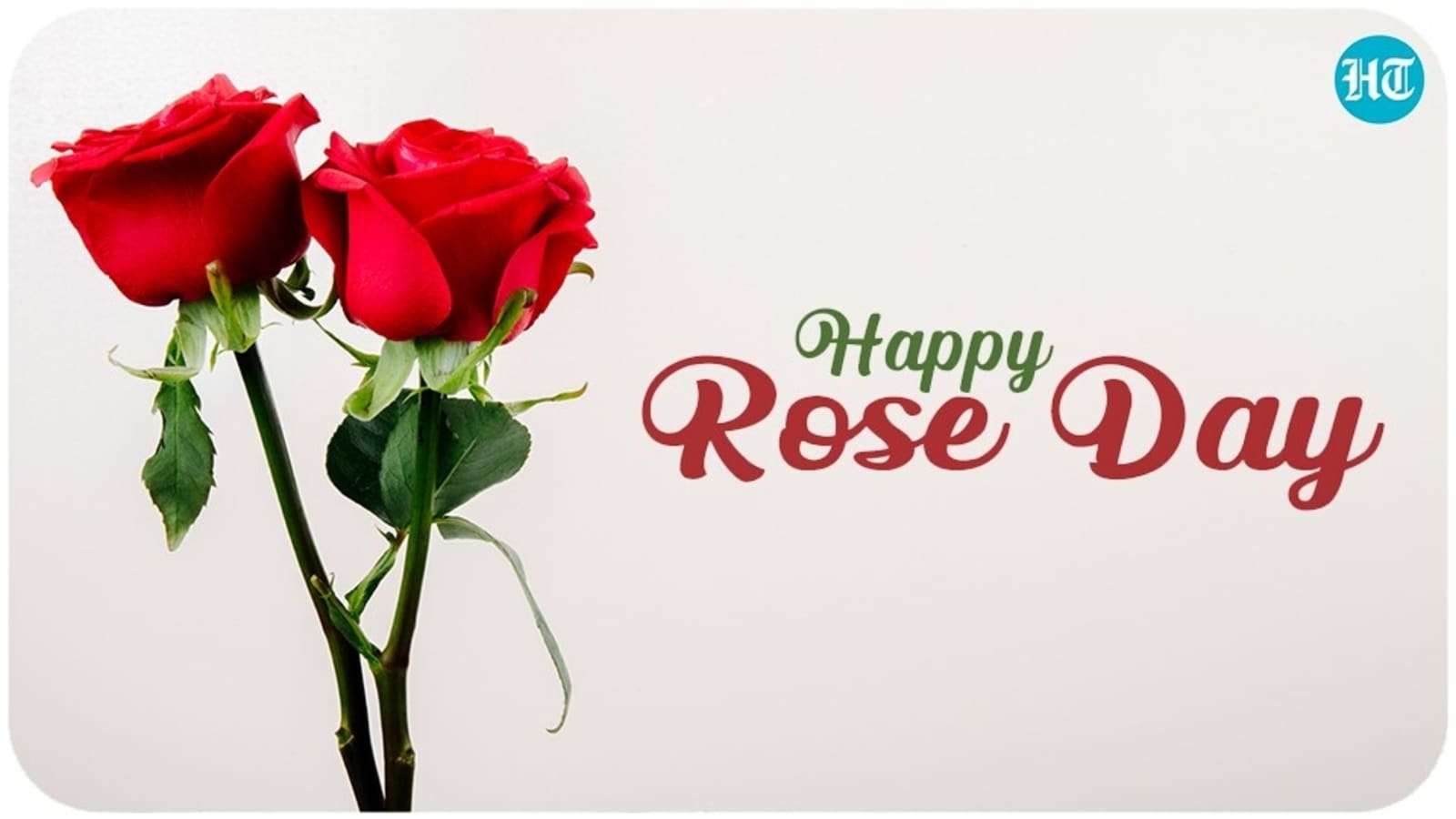 Happy Rose Day 2022: Wishes, image