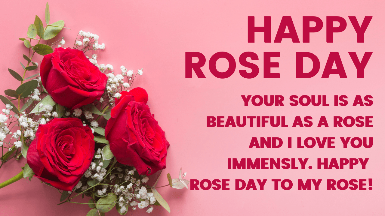 Happy Rose Day. Rose Day 2022: Wishes, image and quotes to share on the first day of Valentine's week. Trending & Viral News