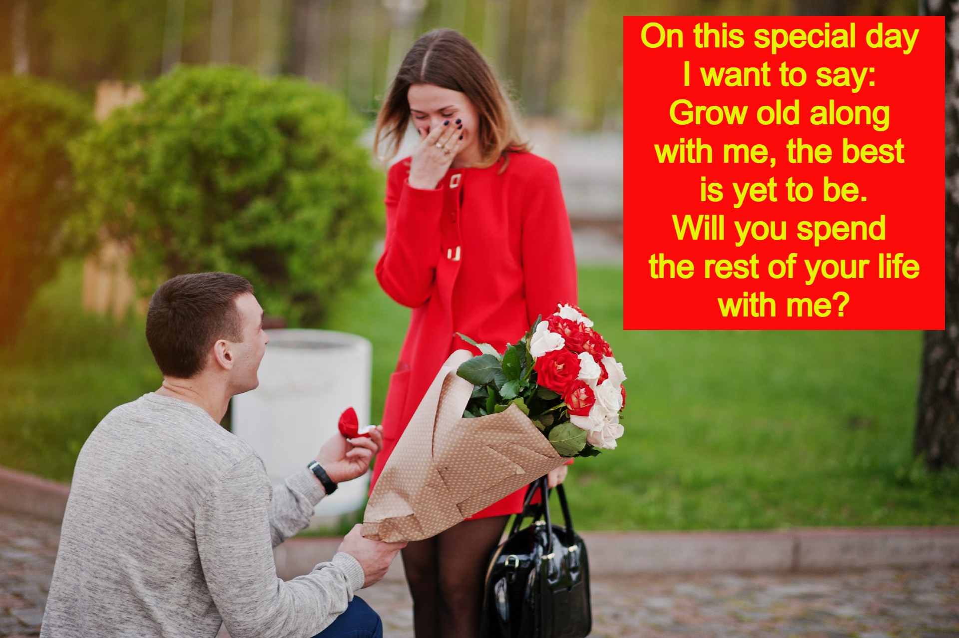 Happy Valentine's Week 2022: Propose Day Wishes, Image, Status, Quotes, Messages and WhatsApp Greetings to Share With Your Loved Ones