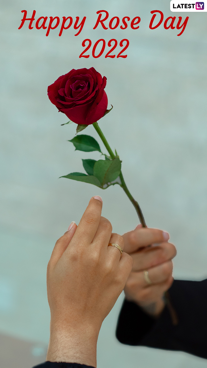 Happy Rose Day 2022: Kick Start Valentine Week Celebrations With Fun Greetings & Image