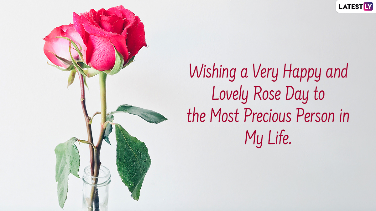 Happy New Year 2022 Image, Wishes, Greeting Cards and Mssages New Year 2022 Image, Wishes, Greeting Cards and Mssages