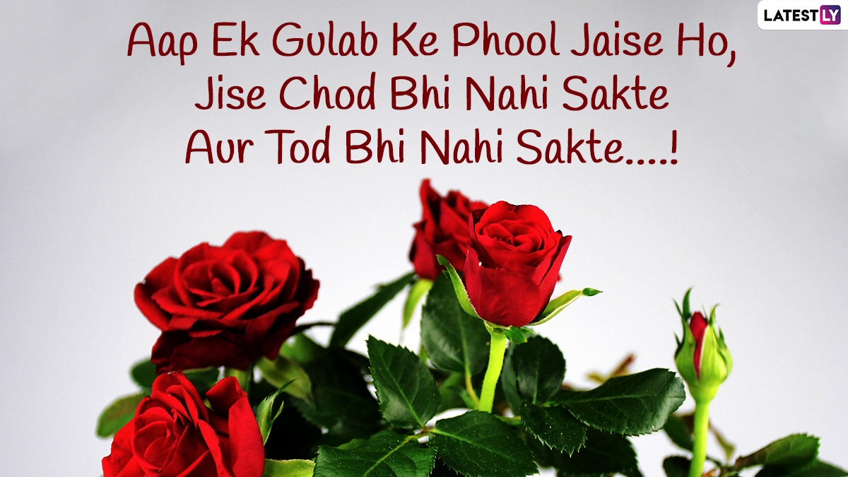 Rose Day 2022 Shayari & Love Messages: Romantic Quotes, WhatsApp Status, SMS, Hearty Wishes, Greetings, Colourful Rose Wallpaper To Kick Off Valentine Week Celebrations