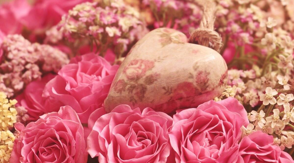 Valentine's Week Days Full List 2022: Calendar, Time Table, Date Sheet of Rose, Propose, Chocolate, Promise, Teddy, Hug and Kiss Day