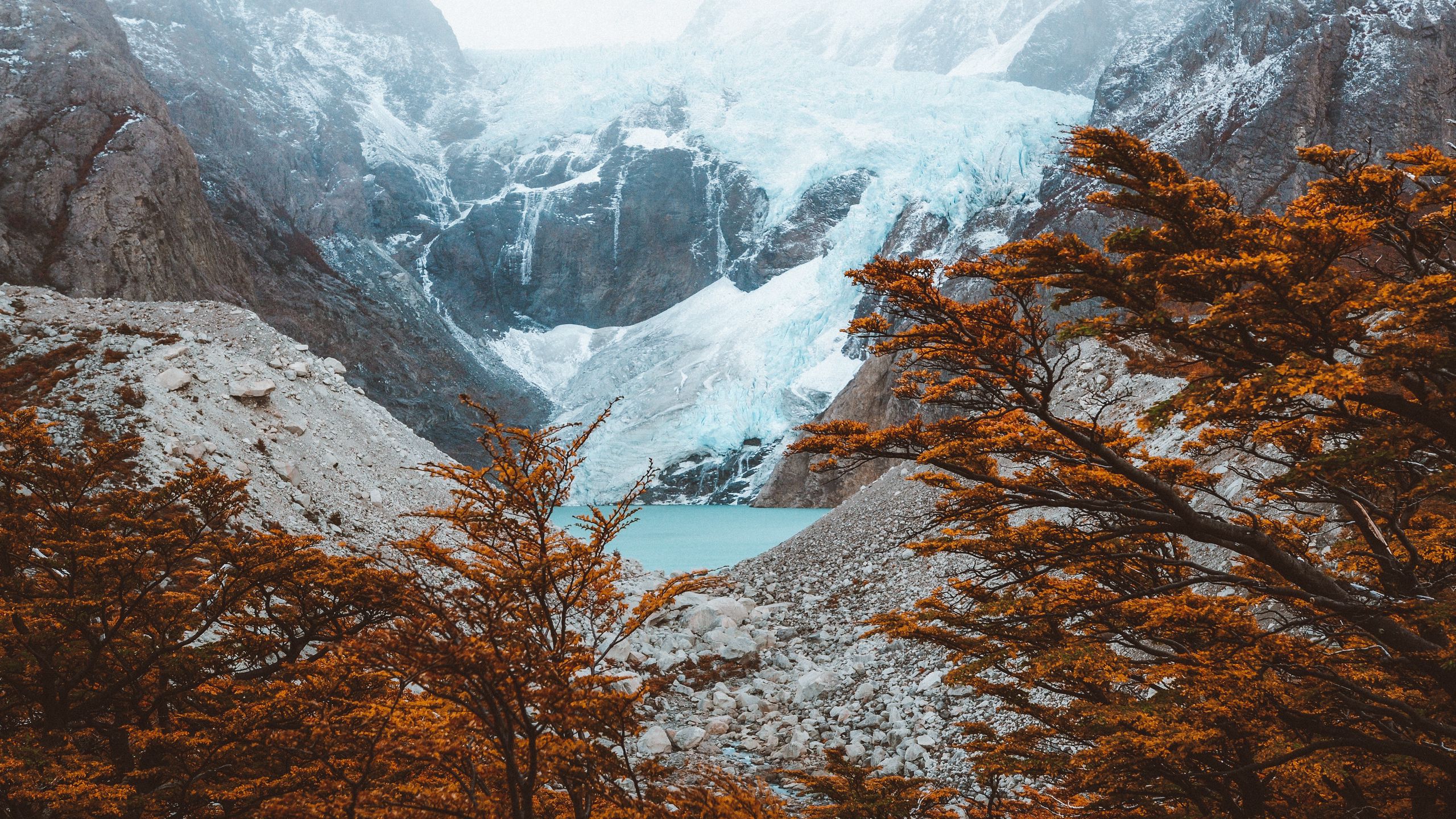 Download wallpaper 2560x1440 el chalten, argentina, mountains, lake, trees widescreen 16:9 HD background